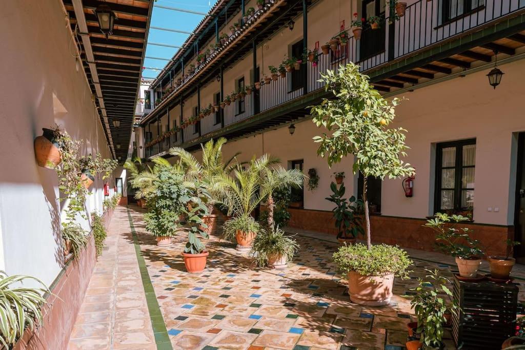 Apartamento Con Encanto En Patio Sevillano Exterior photo